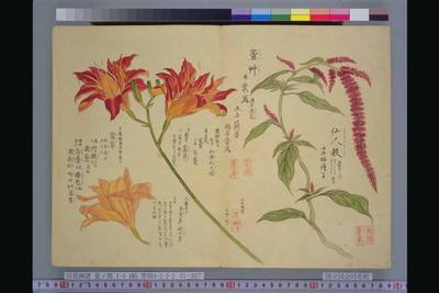 花鸟 (83)_9481b37e26bc.jpg